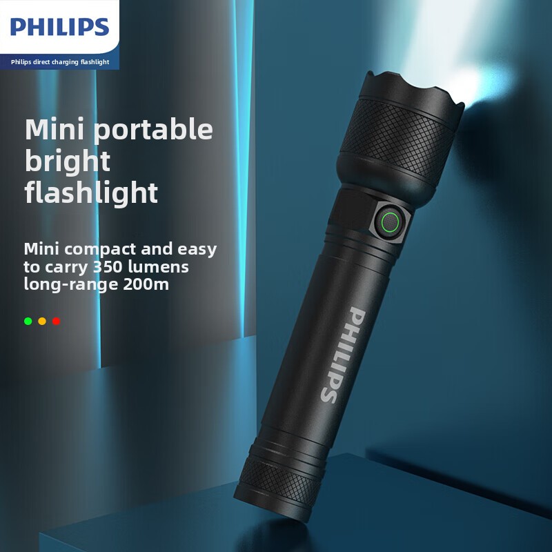 2025年最新 フィリップス SFL2188 LED アルミ - Outdoor Lighting Fixtures のレビューと価格